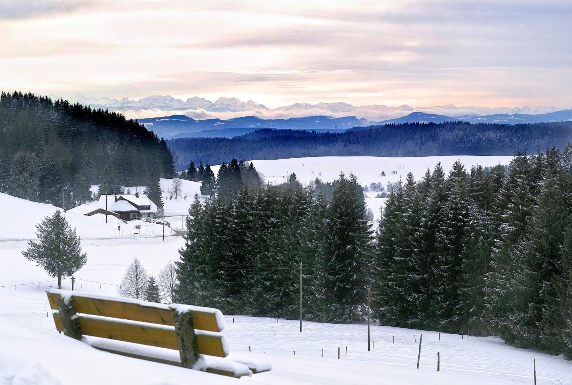 Naturidyll Am Fluss - Ferienhaus Albmatte - Grosser Garten Zum Grillen Und Entspannen-Direkt Neben Dem Radon Revitalbad Mit Sauna Und Thermalbecken St. Blasien Exterior foto