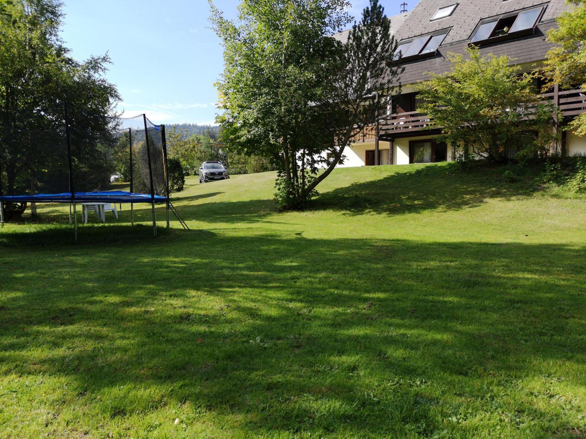 Naturidyll Am Fluss - Ferienhaus Albmatte - Grosser Garten Zum Grillen Und Entspannen-Direkt Neben Dem Radon Revitalbad Mit Sauna Und Thermalbecken St. Blasien Exterior foto
