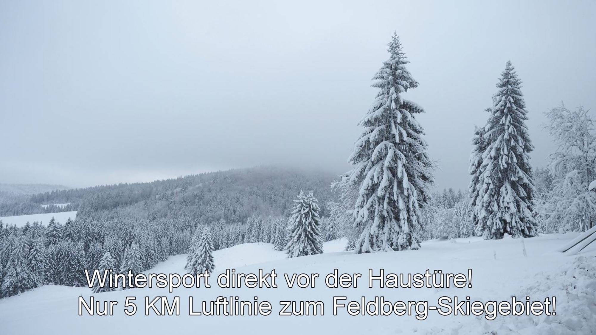 Naturidyll Am Fluss - Ferienhaus Albmatte - Grosser Garten Zum Grillen Und Entspannen-Direkt Neben Dem Radon Revitalbad Mit Sauna Und Thermalbecken St. Blasien Exterior foto